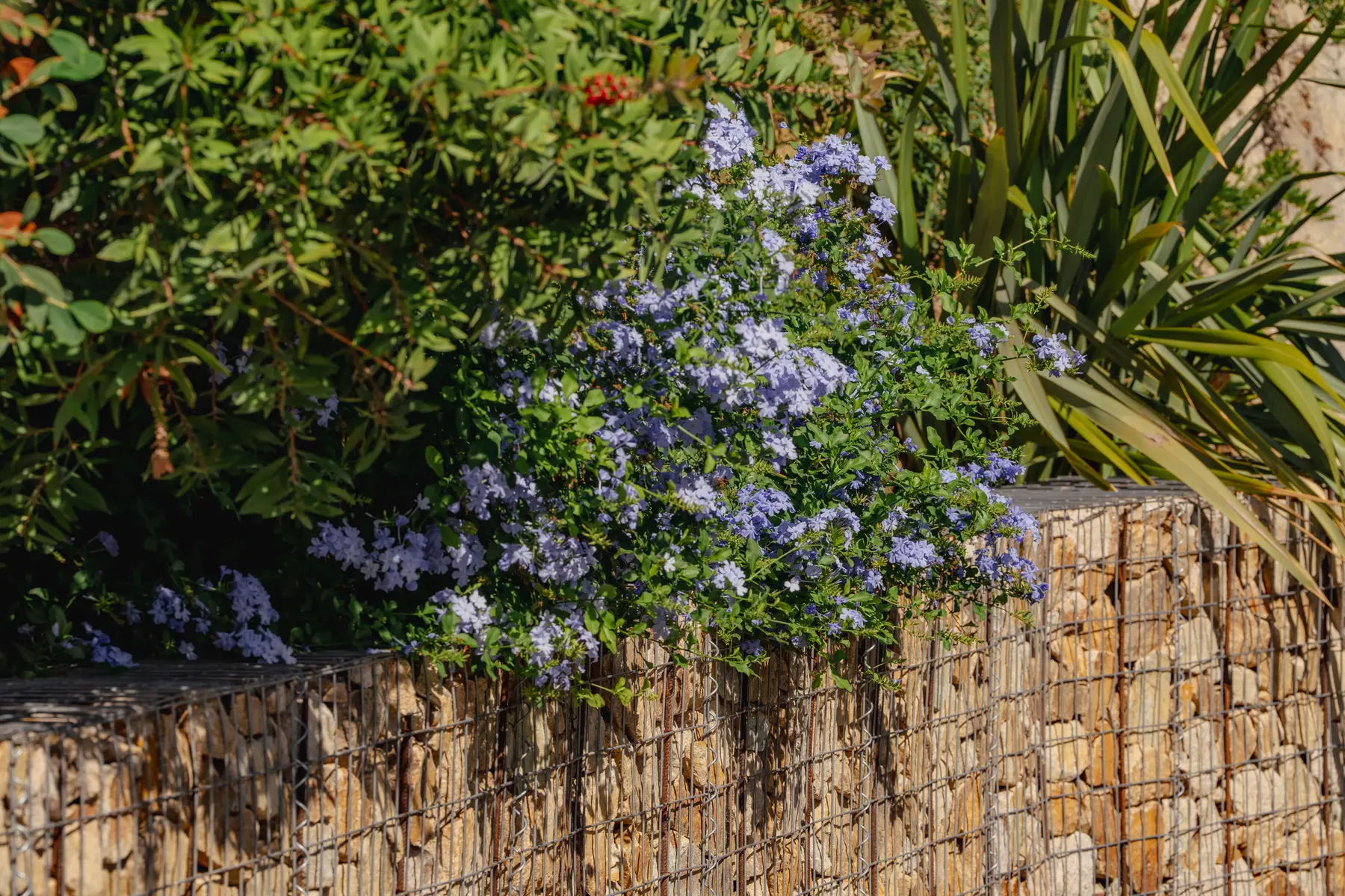 A detail from one of the houses we look after on the Costa Brava