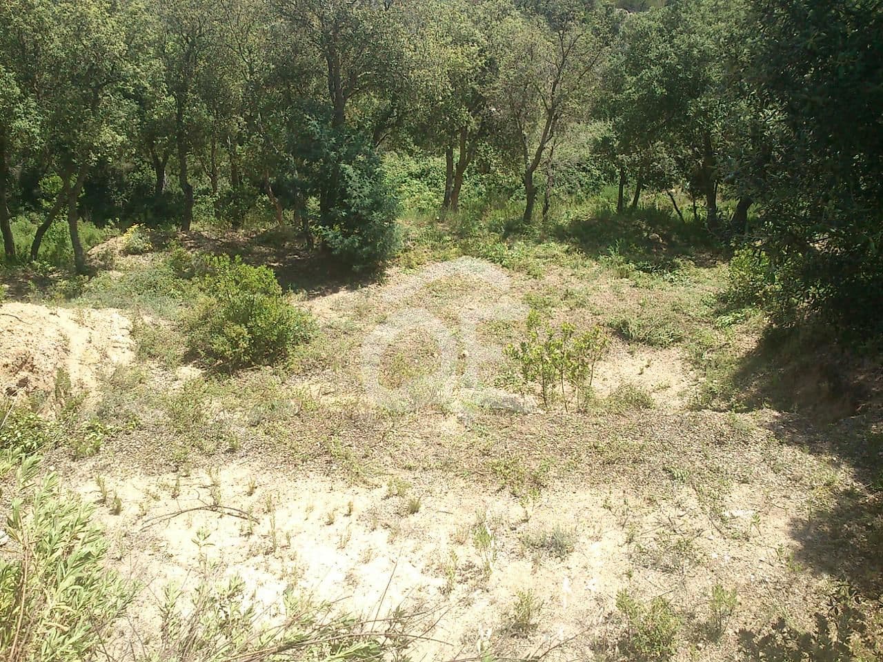 Land with urban license and single-family house project