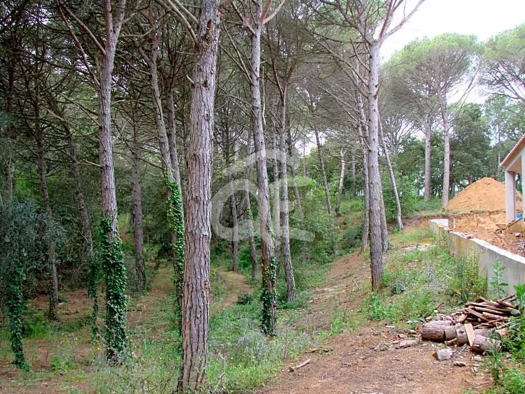 Plot in Calonge