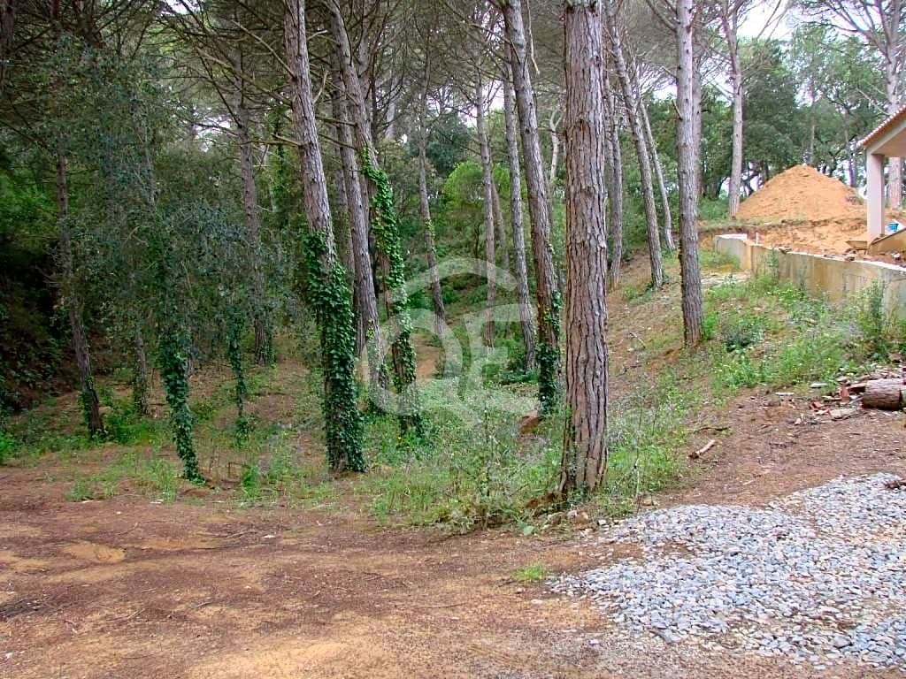 Plot in Calonge