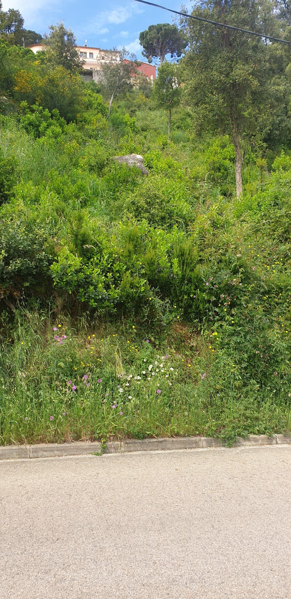 Some Plots with sea views